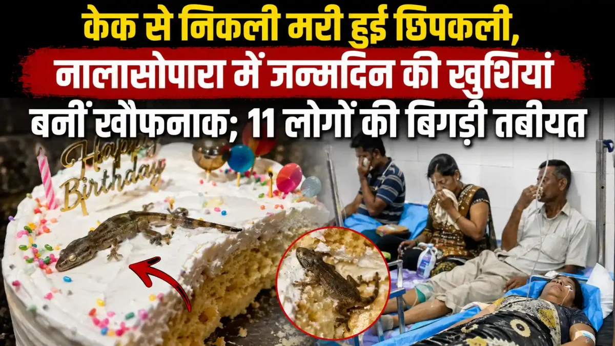 बर्थडे केक में निकली मरी छिपकली! खुशी का जश्न बदला मातम में, 11 लोग अस्पताल में भर्ती