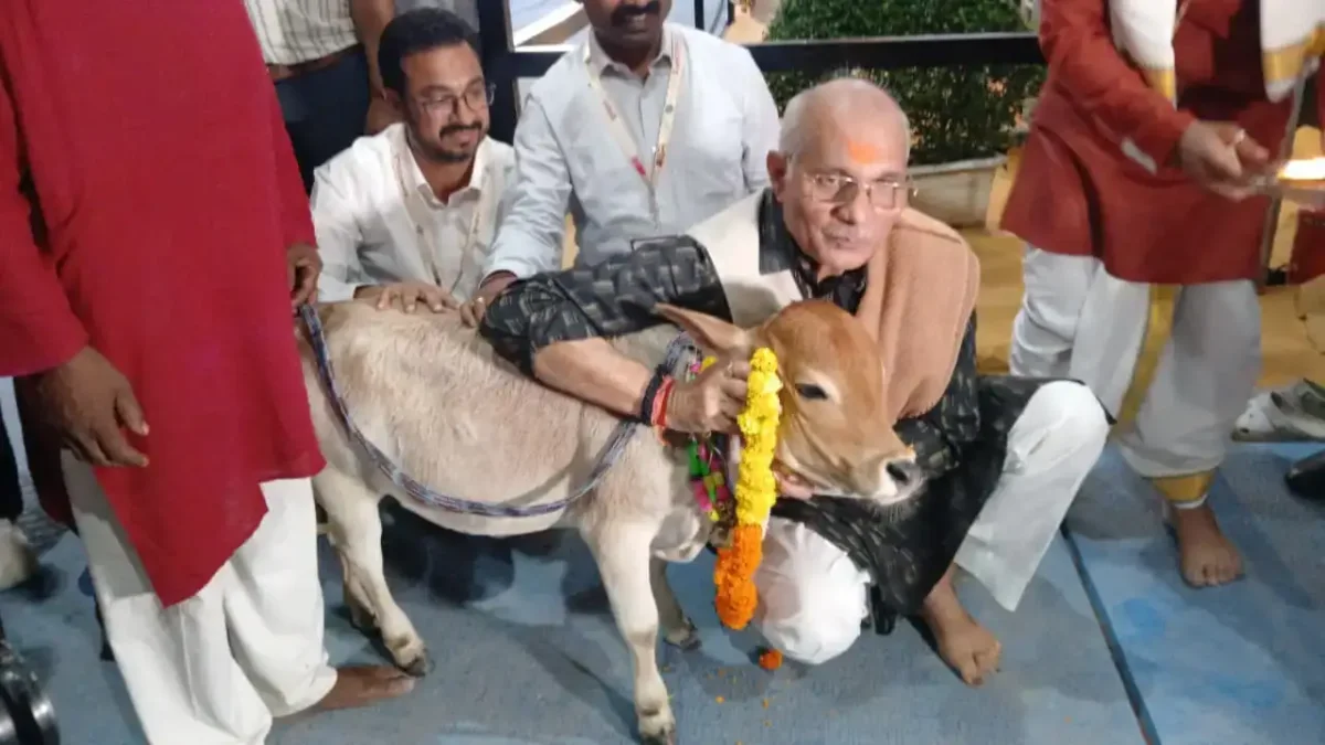 काशी में पहली बार सजा नंदी कैटवॉक: देशी नस्लों के संवार से किसानों की चमकेगी किस्मत
