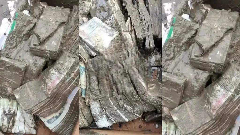 नेपाल बाढ़: बैंक के मलबे से निकला 50 करोड़ का सोना और कैश, वीडियो वायरल