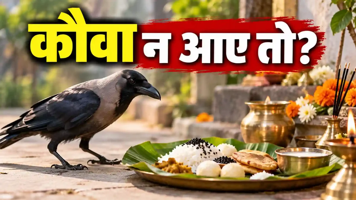 श्राद्ध में कौवा भोजन न खाए तो क्या करें? जानें पितृ पक्ष 2026 में काकबलि और पंचबलि का सही मतलब