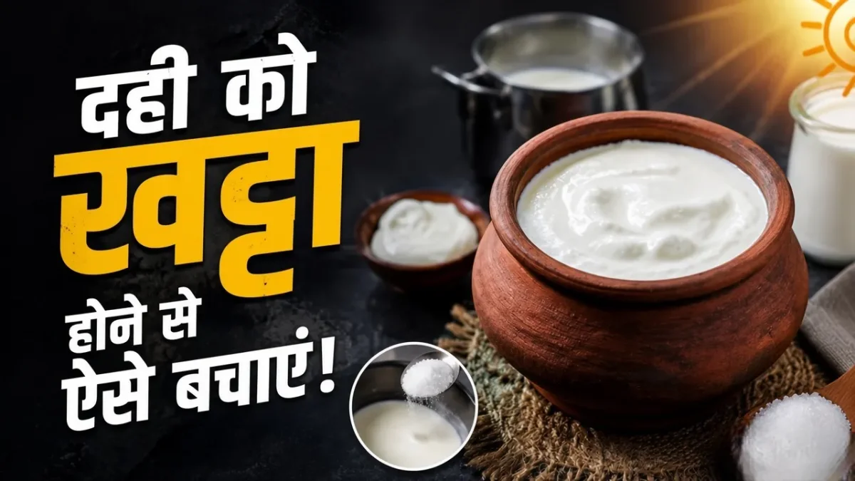 गर्मियों में बार-बार खट्टा हो जाता है दही? दूध में मिलाएं ये 1 जादुई चीज, जमेगा बिल्कुल गाढ़ा और मलाईदार