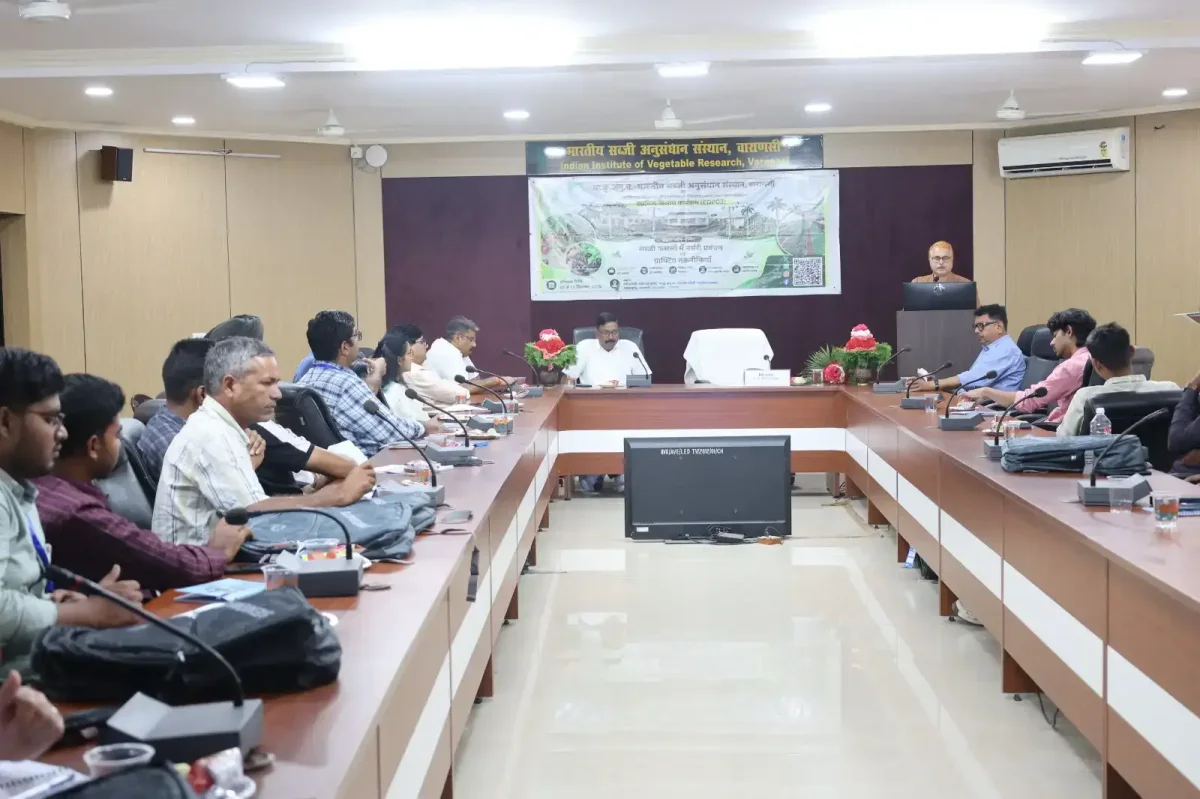 बदल जाएगी खेती की तस्वीर! वाराणसी में युवाओं को सिखाया जा रहा सब्जियों में ग्राफ्टिंग का हुनर