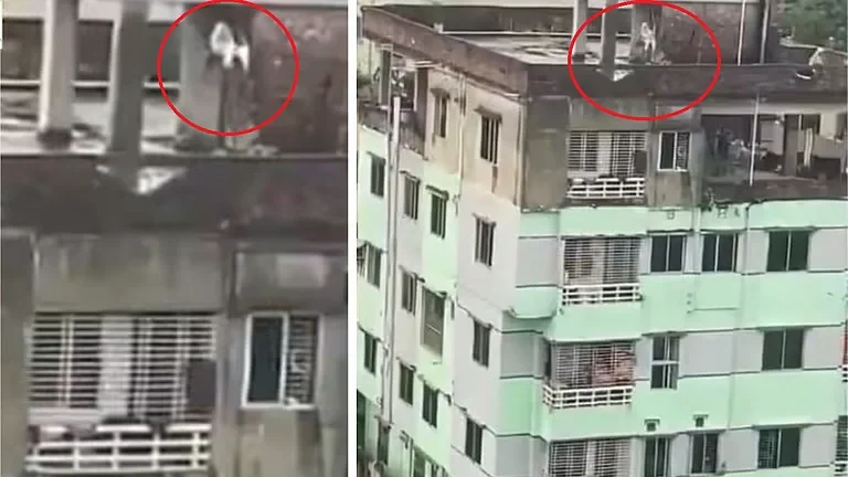 5 मंजिला इमारत की छत पर झूले पर झूलती दिखी महिला, Video देख अटकी सांसें